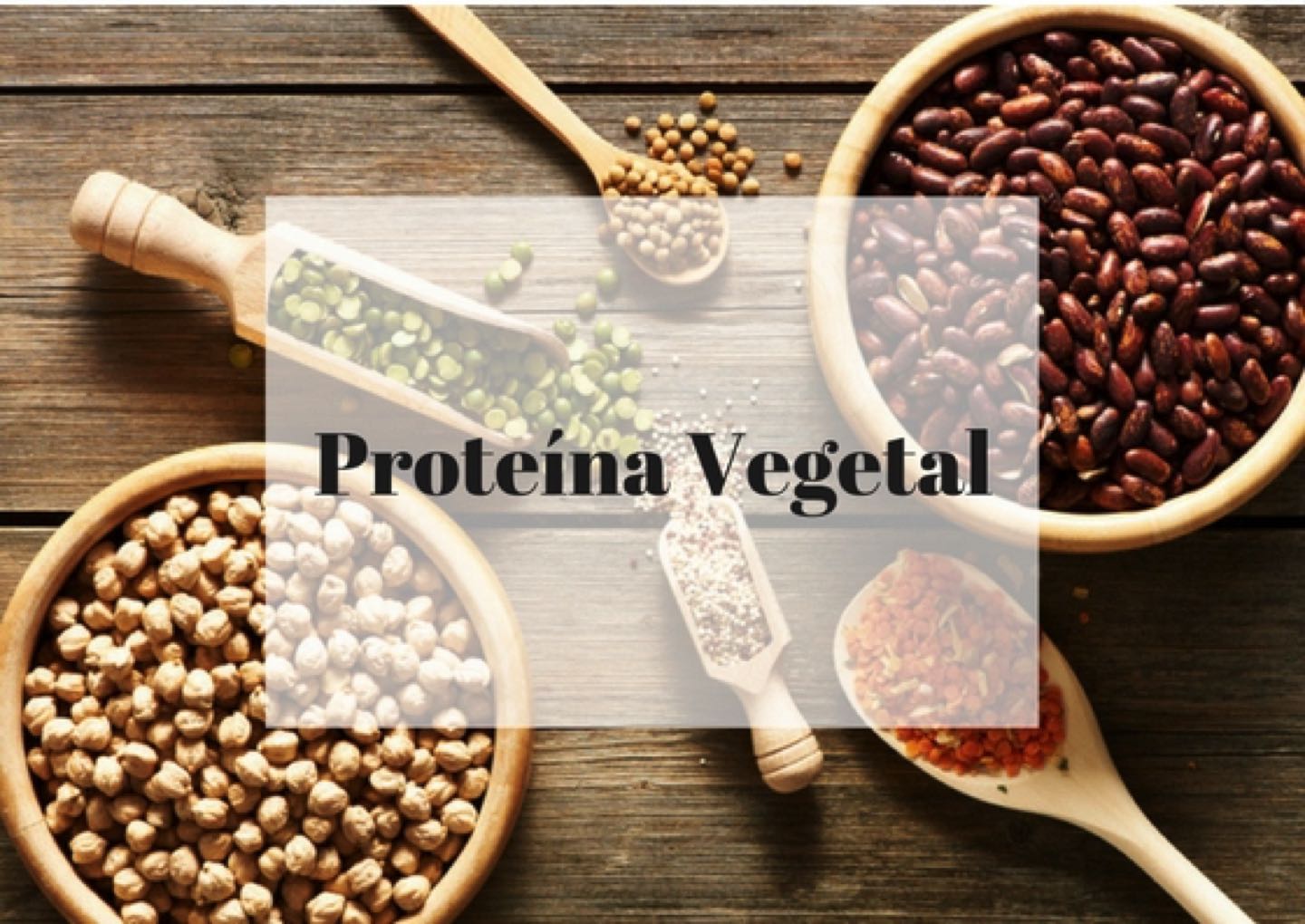 Plant-based Protein (1)