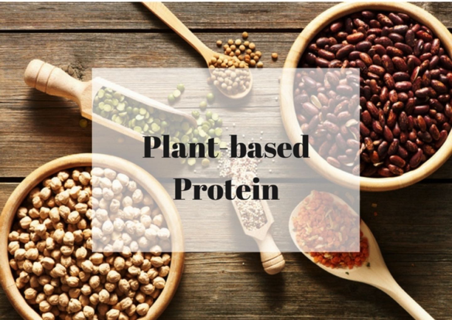 Plant-based Protein