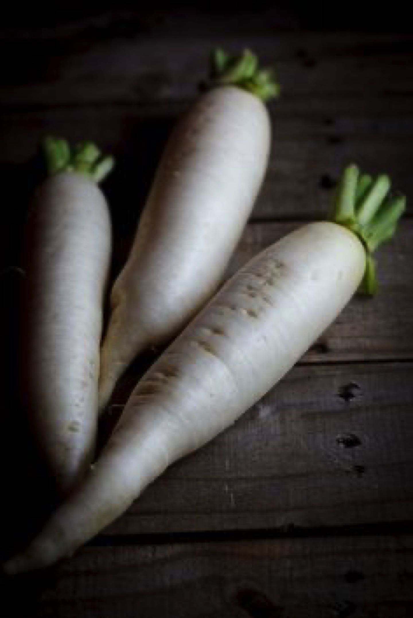 daikon zanahoria blanca